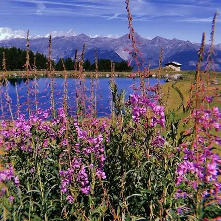 Maisons Des Rêves Alpins