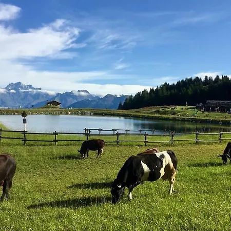 Maisons Des Reves Alpins